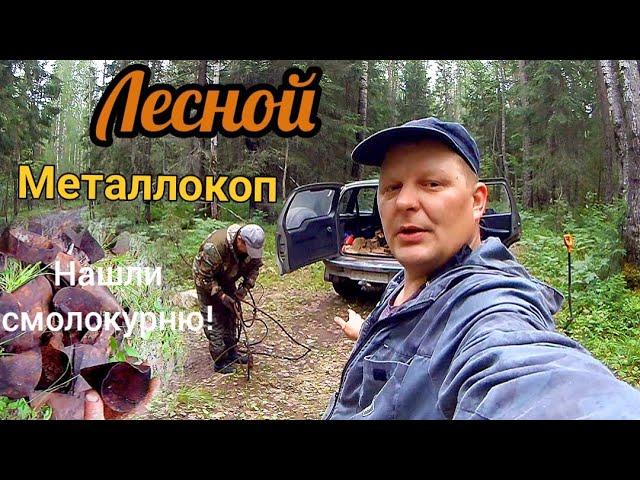 Поиск металлолома в лесу,где искать металлолом