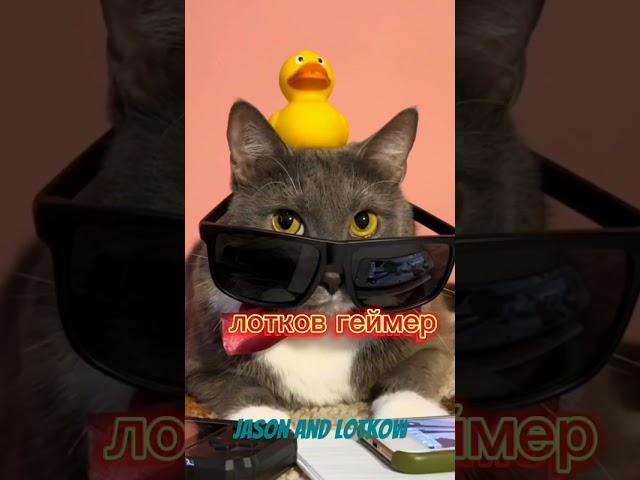 Версии Лоткова чтобы победить персонажей котийнет #Kotiynet