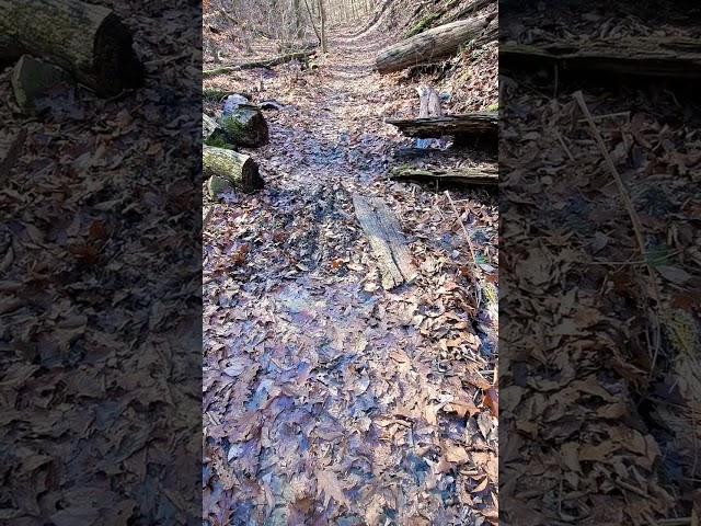 Hiking Tips Level II: Place Fallen Bark to Hike Over Muddy Terrain #hiking #hikinglife #hikingtrail