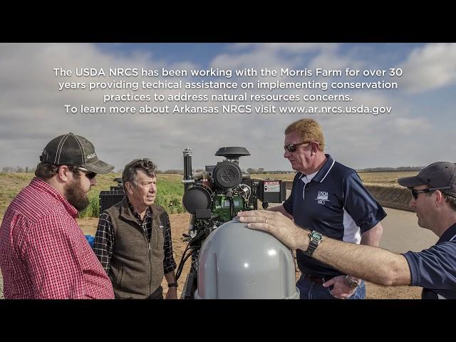 Brief History of Arkansas Rice