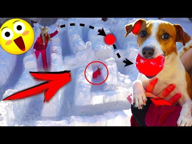 ДЖИНА ЗАСТРЯЛА - ЛАБИРИНТ ИЗ СНЕГА И ПОЛОСА ПРЕПЯТСТВИЙ | Elli Di Pets