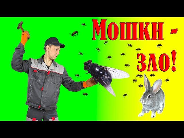 Мошки в крольчатнике/курятнике! Что делать?