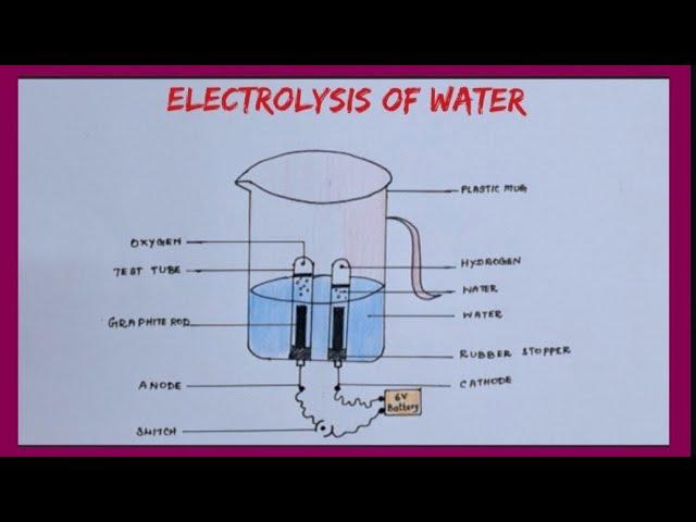 how to draw elecrolysis of water diagram easily#X science important diagram