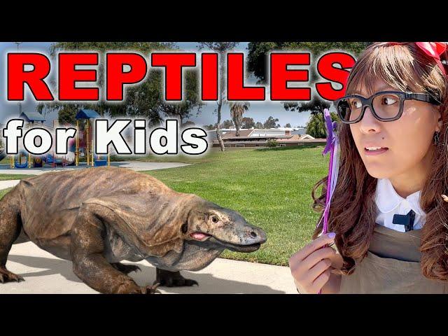 Reptile Stories for Kids | Soso Reptiles Toys Come To Life!