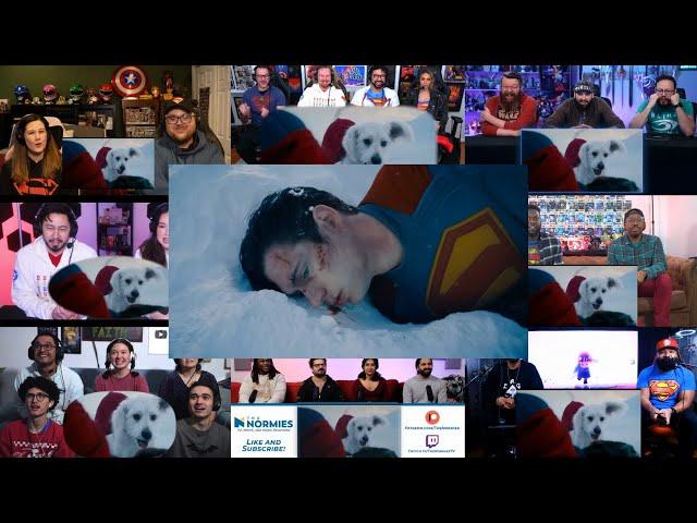 Superman (2025) | Official Teaser Trailer || ShuriiKen Reaction Mashup