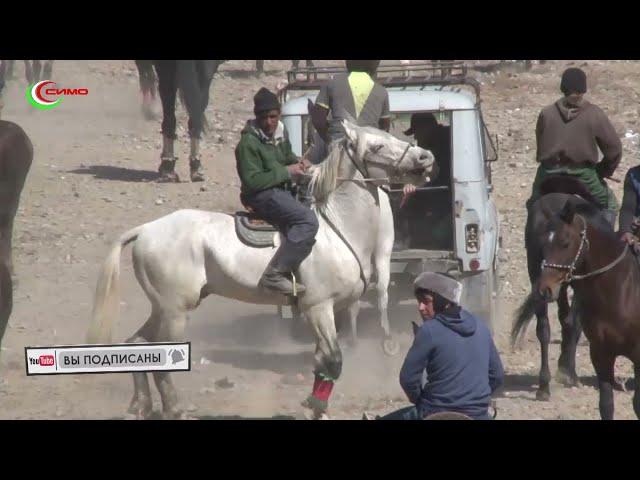 Бузкаши -1 дар Панҷакент пурраш