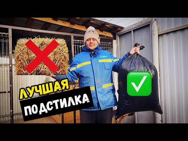 ЧТО ПОСТЕЛИТЬ СОБАКЕ В БУДКУ. НЕМЕЦКАЯ ОВЧАРКА