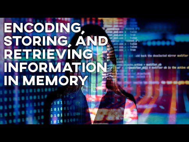 The Concept Of Encoding, Storing, And Retrieving Information In Memory