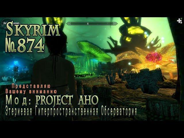 Skyrim s 874 Project AHO.  Не то место, не то время.