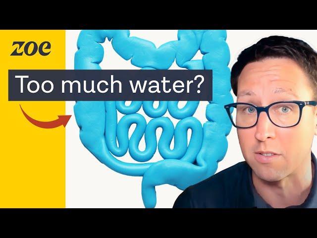 How to stop diarrhea and what NOT to do | Dr. Will Bulsiewicz