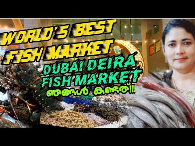 Deira Fish Market|Dubai Deira Fish Market|Waterfront fish market|World's best fish market|ദുബായ് ദേര