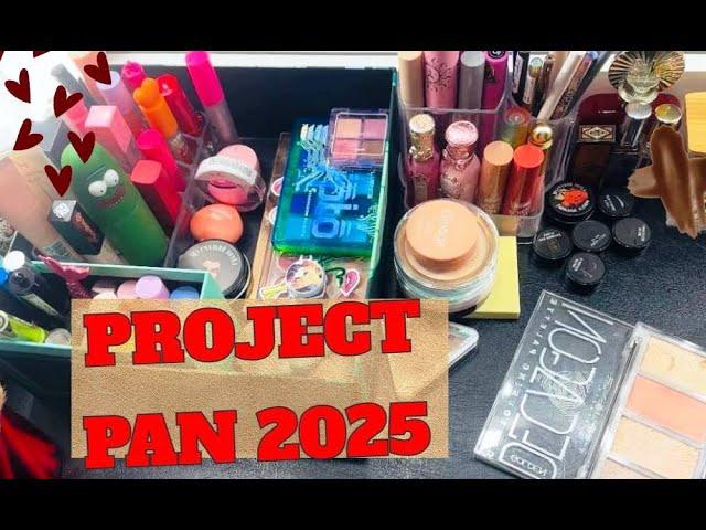 PROJECT PAN 2025 начало - 94 средства!!! Закончить и выбросить. Много средств для губ!