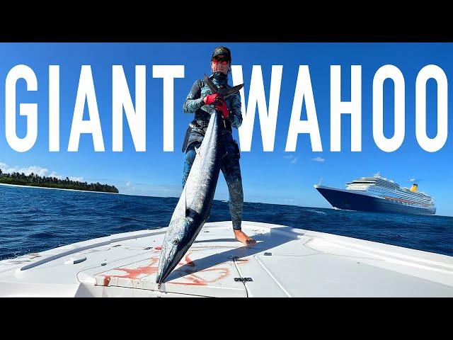 Insane Spearfishing Action | Giant Fish & Epic Underwater Hunts