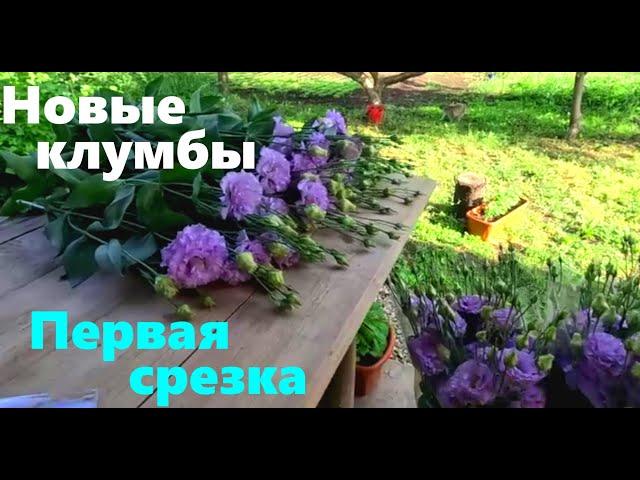 #211 Первая срезка наших цветов и новые клумбы у террасы.