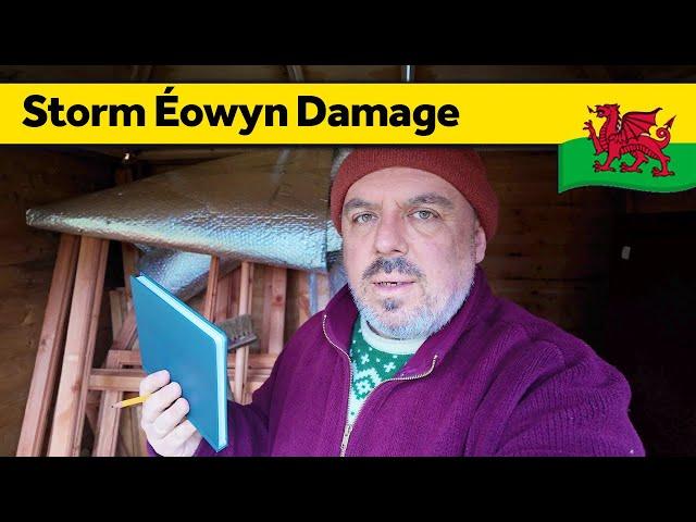 197. Storm Éowyn Damage - Living Alone in Wales (January 2025)