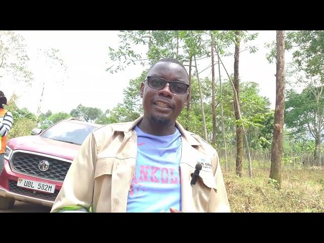 Ministry of water launches the construction of Bugibuni solar powered irrigation scheme
