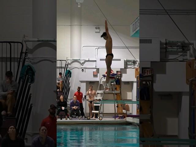 Adam Cohen | 303B 1m Springboard Diving #diving #shorts