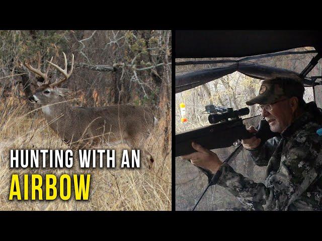 Air Gun Hunting for Whitetail Deer