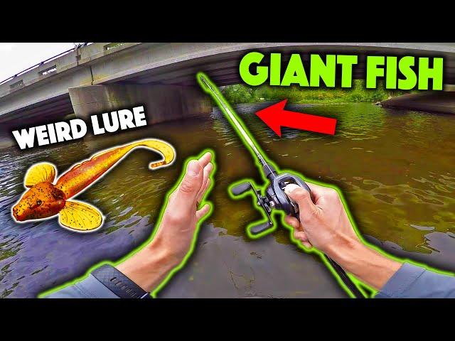 Giant Fish ATE MY BASS!!! Fishing A Weird Soft Plastic From Ukraine