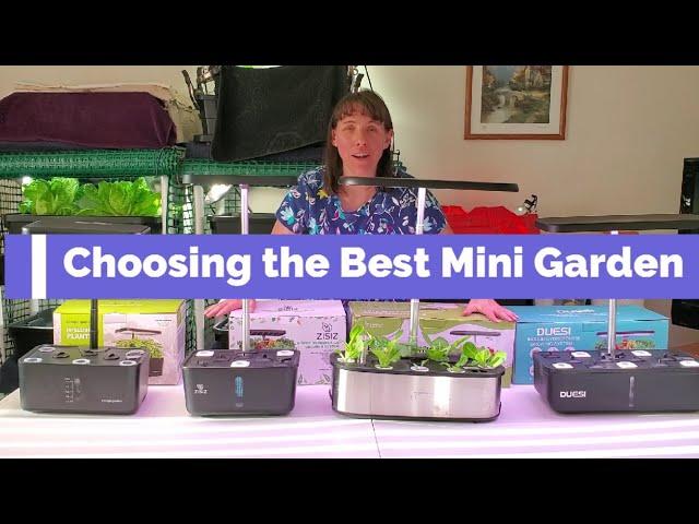 Choosing the Best Mini Hydroponic Growing System