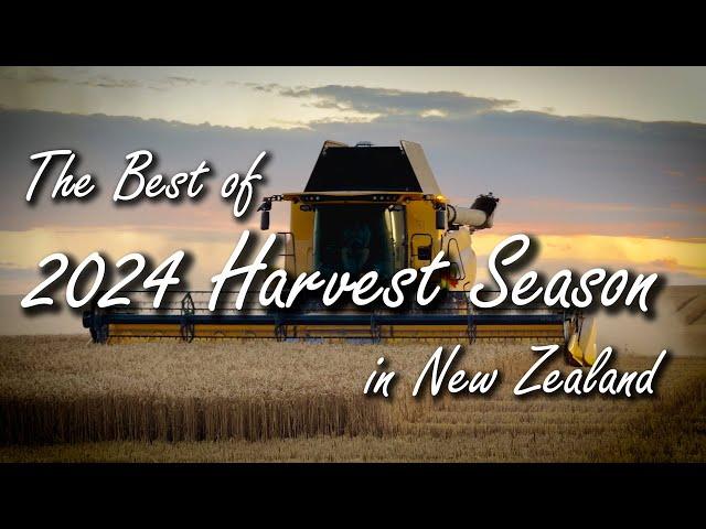 The best of 2024 Harvest Season in New Zealand