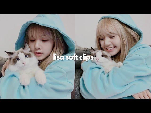 Lisa clips for editing