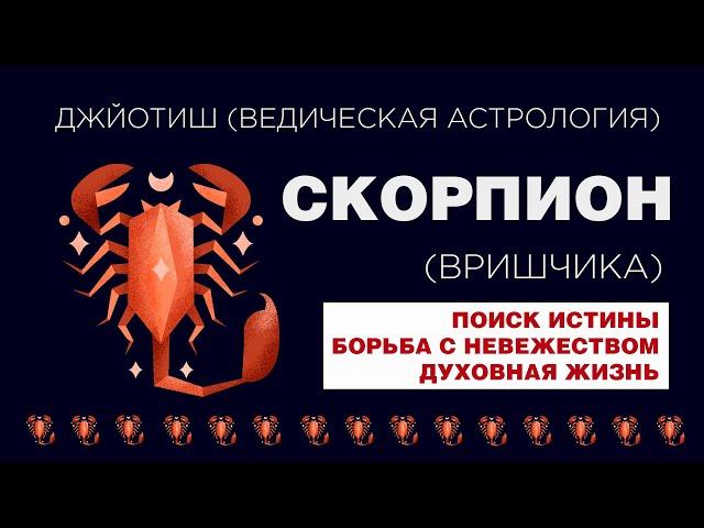 Архетип Скорпион (Вришчика). Типаж человека с сильным знаком Скорпион.