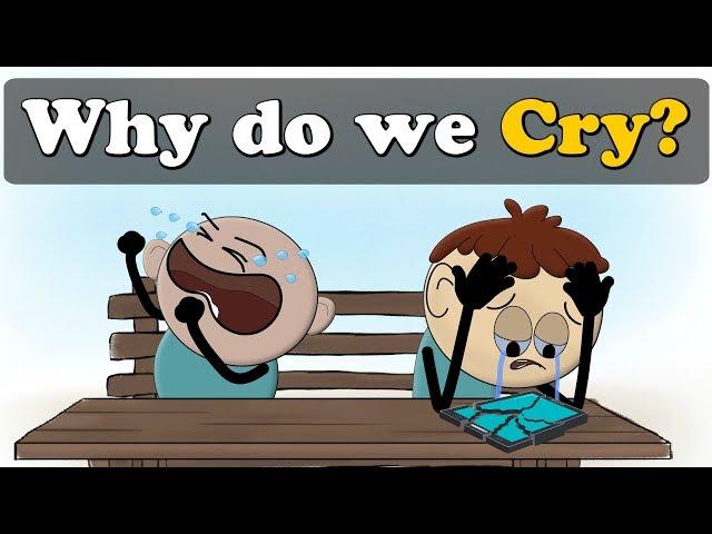 Why do we Cry? + more videos | #aumsum #kids #science #education #children