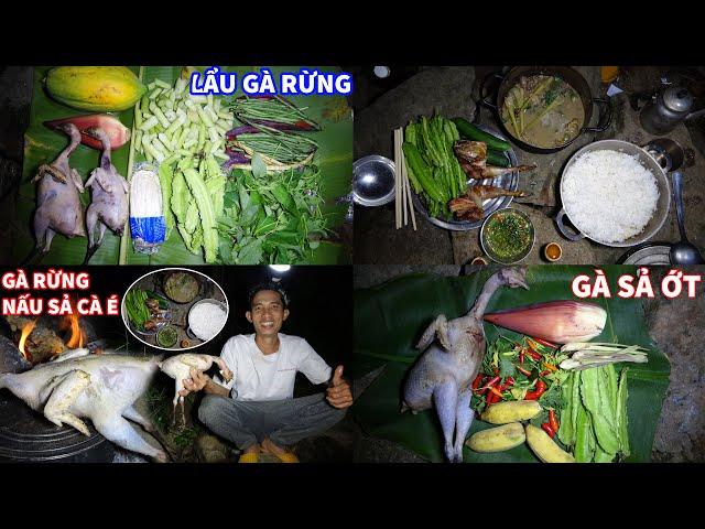 SĂN GÀ RỪNG FULL TẬP