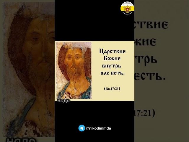 С началом Рождественского поста!#рождественский_пост #православные_праздники #шортс #проповедь