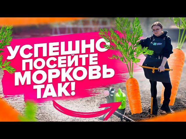 МОРКОВЬ БУДЕТ РОВНОЙ! Простой посев моркови