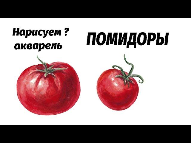 Как нарисовать помидоры акварелью. Мастер-класс // how to draw red tomatoes with watercolor