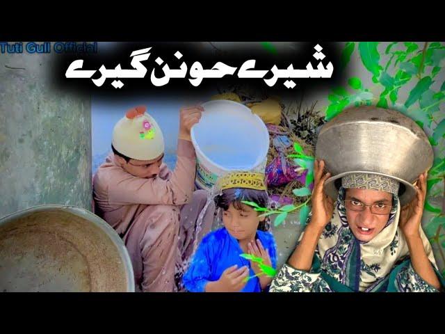 Sherye Ho Nan Gherye Pashto New Funny Video 2023 by Tuti Gul Official