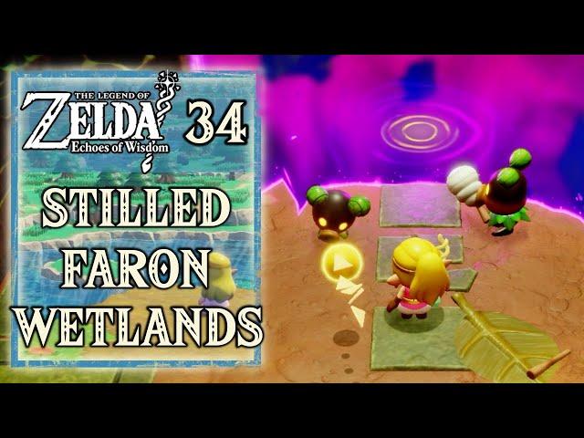 Zelda Echoes of Wisdom - Stilled Faron Wetlands - Enter the Sweet Spot - Walkthrough Part 34