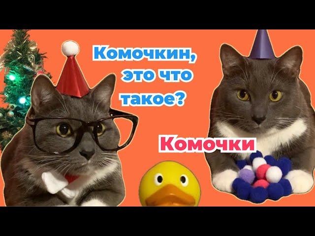 ЕСЛИ БЫ КОТЫ ХОДИЛИ В ШКОЛУ - КОТИКИ ДЕДЫ МОРОЗЫ
