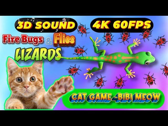 CAT GAMES TOM TV & BiBi | Ultimate Compilation Catching The LIZARDS , Flies, FireBugs11 HOURVol 33