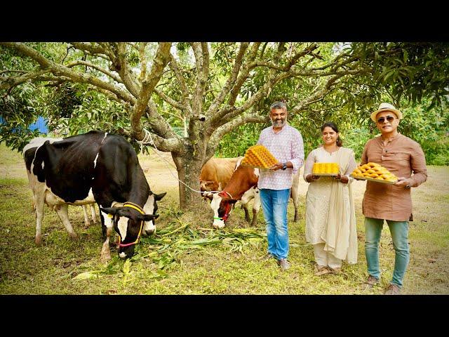 From Pure Organic Milk To Fresh Mithai! The INDIA SWEET HOUSE Story! Unique Farm To Store Tradition