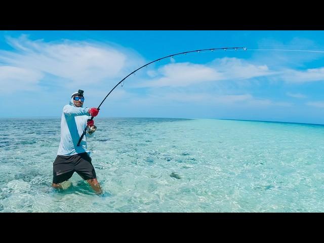 Great Barrier Reef Fishing In A Foot Of Water