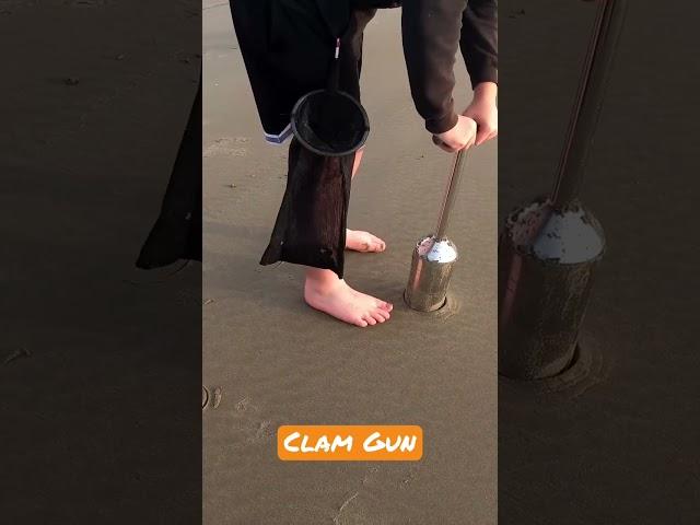 How to Clam! #pnw #shorts #oregon #seafood #clam #shellfish #outdoors #nature #explore #getoutside