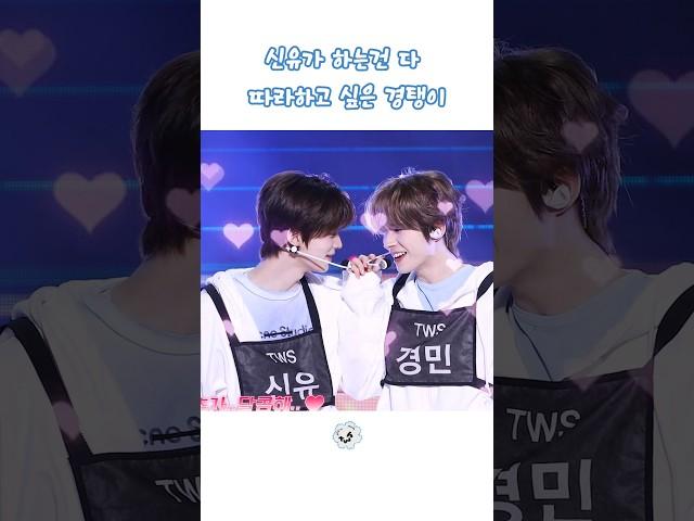 둘이그러다 뽀뽀하겠어요