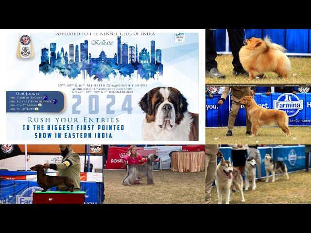 Nckc dog show 01.12.2024{part 2}