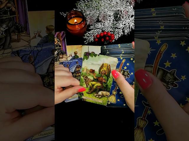 Что говорят за моей спиной? Кто сплетничает за моей спиной и зачем? Что они говорят? Таро