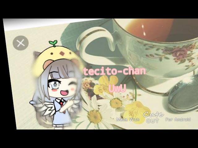 nueva intro!•|tecito-chan UwU•|gozen xdd