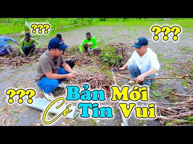 Đông Paulo || Bản Mới Nhận Tin Vui Liên Tiếp Từ Nông Trại Mà Cho Sản Lượng Lớn Nhất Về Hoa Màu???