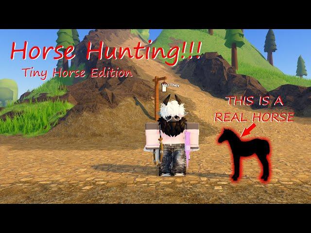 Horse Hunting! (Tiny Horses Edition) | Wild Horse Islands