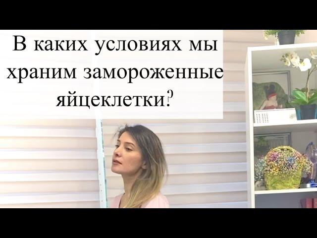 В каких условиях мы храним замороженные яйцеклетки? Как они переносят процесс заморозки/разморозки?