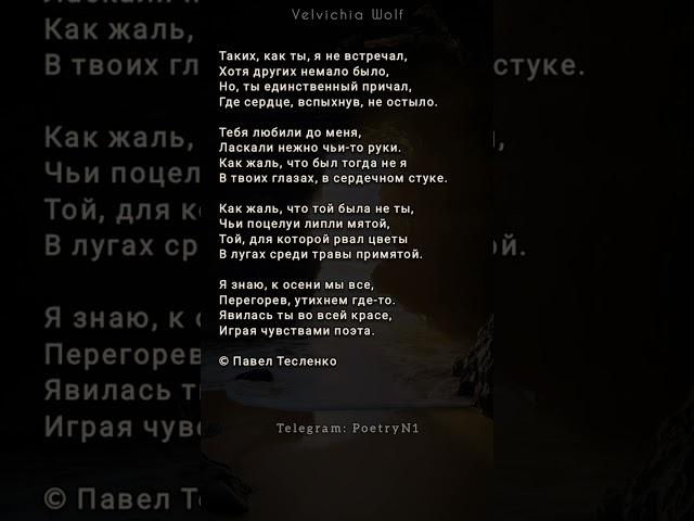 Стих - признание  #стихи #поэзия #shorts