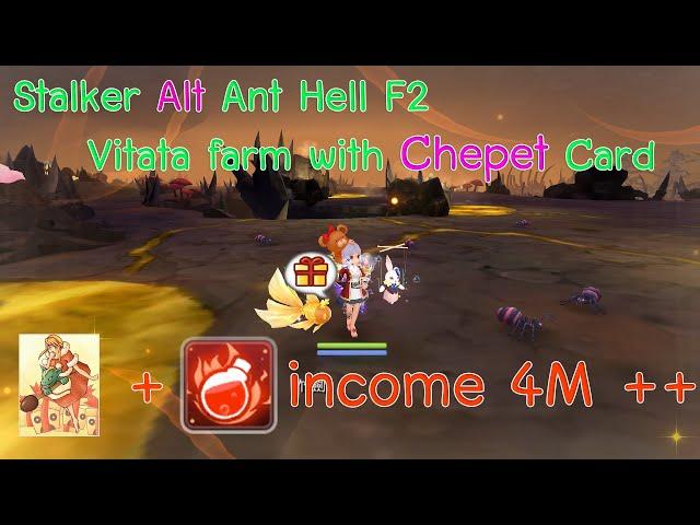 Stalker Alt Farm Vitata With Chepet Card | Ragnarok M Eternal Love