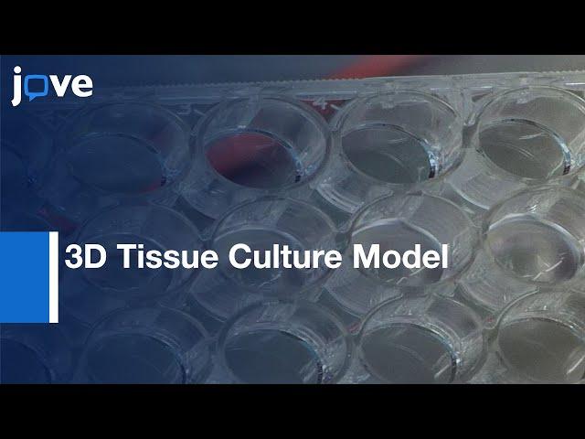 Primary Human Bone Marrow & Malignancies Study:3D Tissue Culture Model