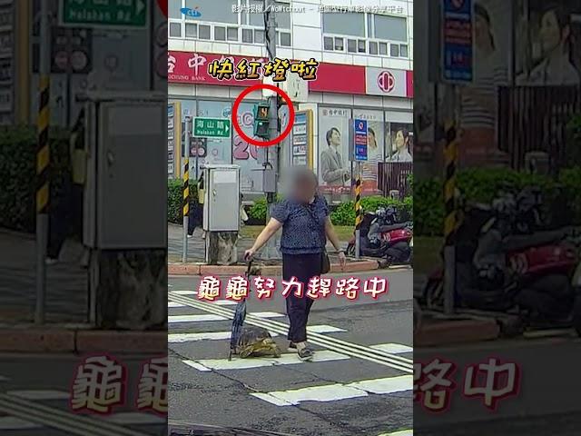 婦人帶寵物龜過馬路！駕駛禮讓「等到亮紅燈」 #shorts